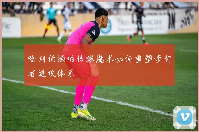 哈利伯顿的传球魔术如何重塑步行者进攻体系