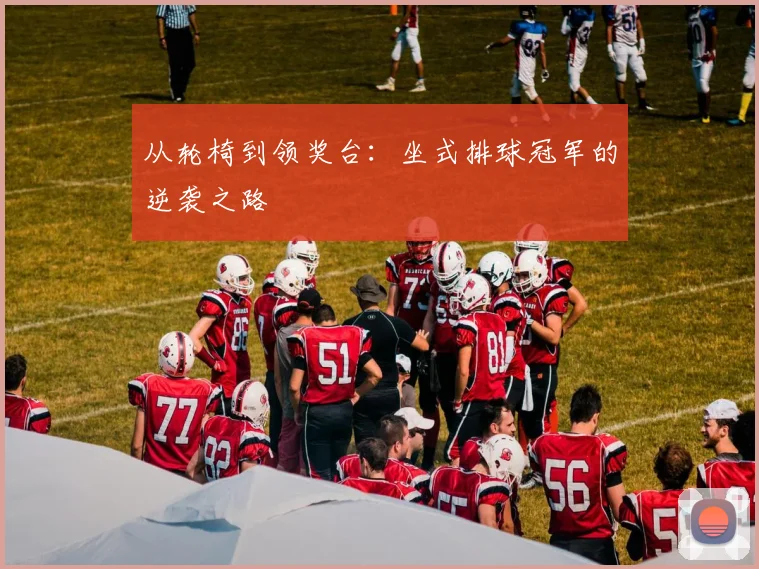 从轮椅到领奖台：坐式排球冠军的逆袭之路
