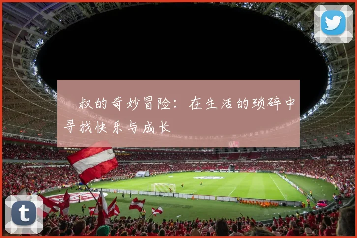 囧叔的奇妙冒险：在生活的琐碎中寻找快乐与成长